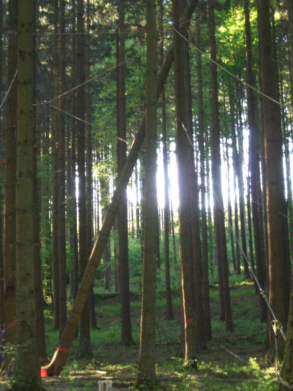 Bild vergr&ouml;ssern