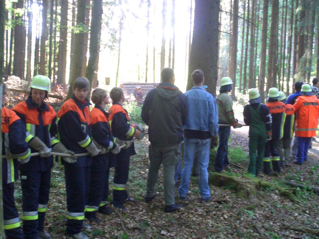 Bild vergr&ouml;ssern