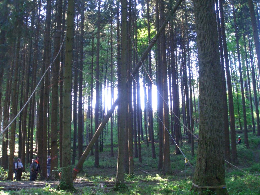 Bild vergr&ouml;ssern