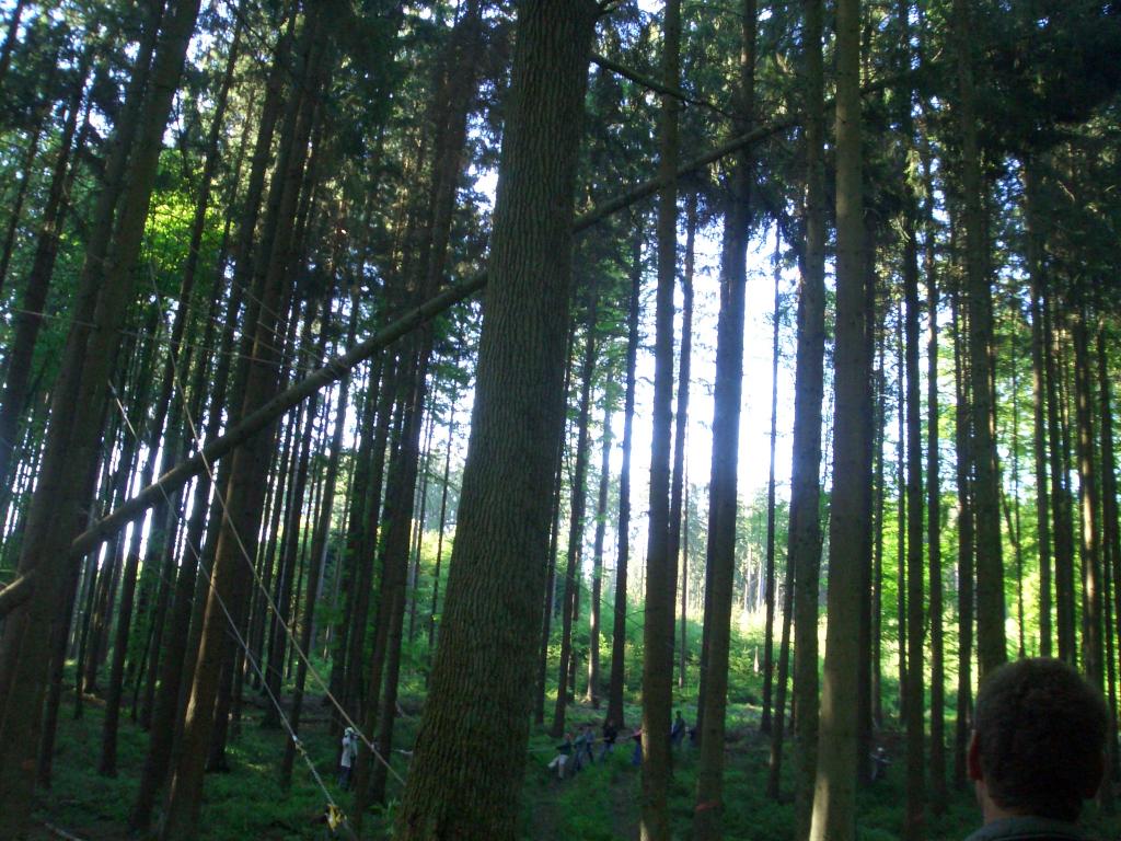 Bild vergr&ouml;ssern