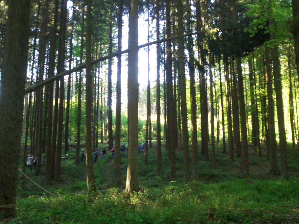 Bild vergr&ouml;ssern