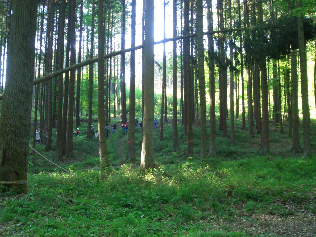 Bild vergr&ouml;ssern