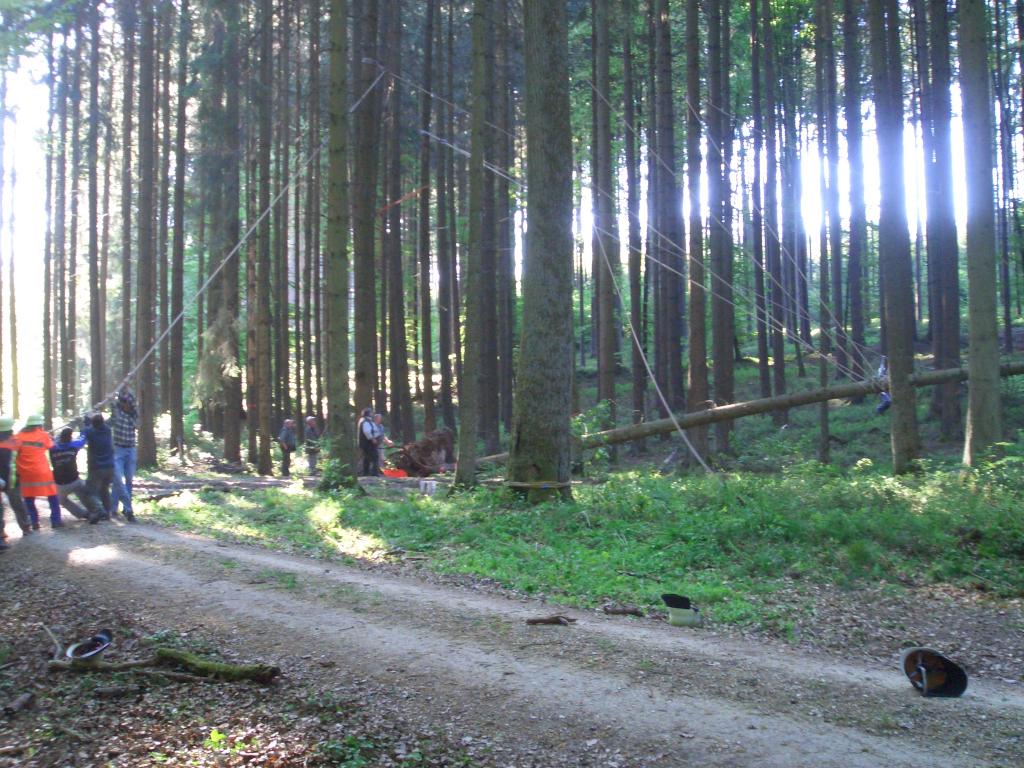 Bild vergr&ouml;ssern