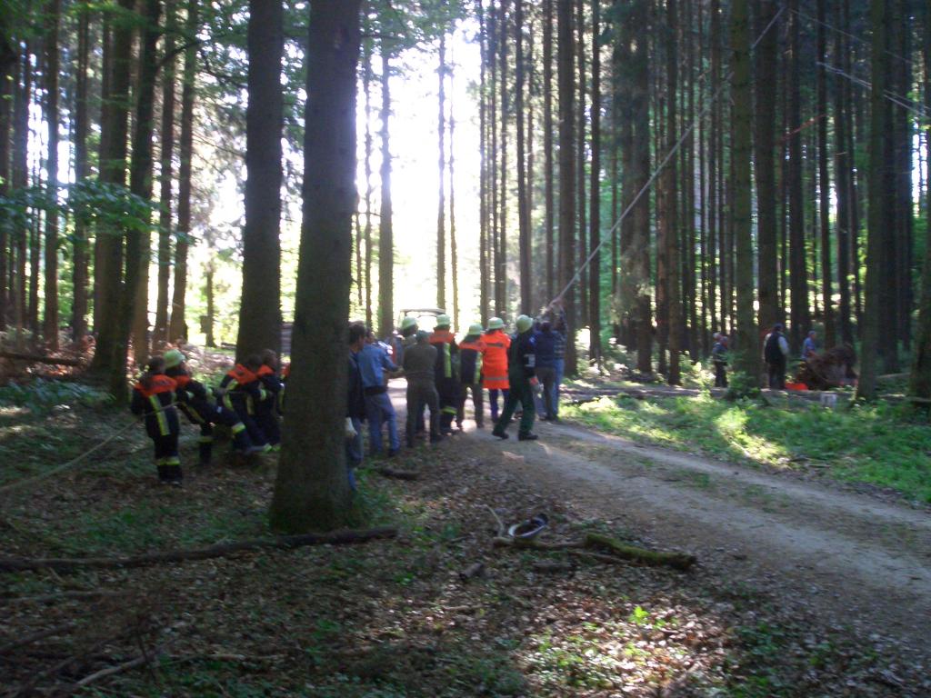 Bild vergr&ouml;ssern