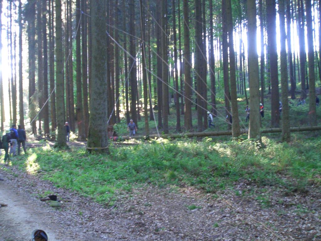 Bild vergr&ouml;ssern