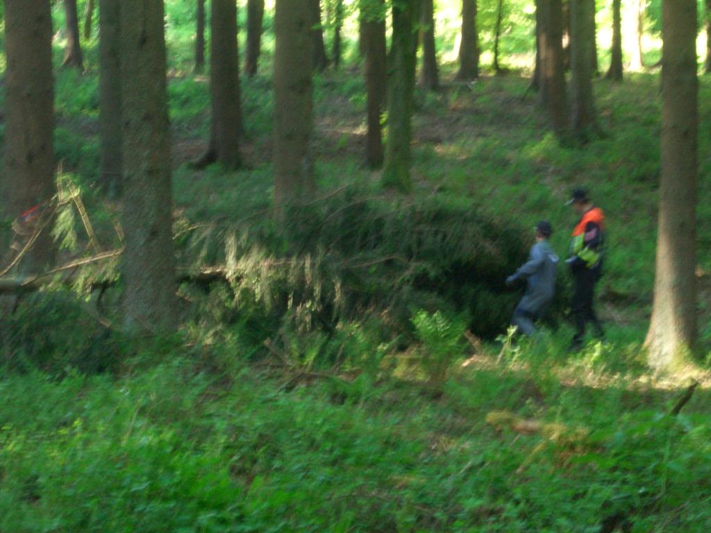 Bild vergr&ouml;ssern