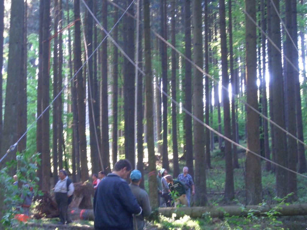 Bild vergr&ouml;ssern