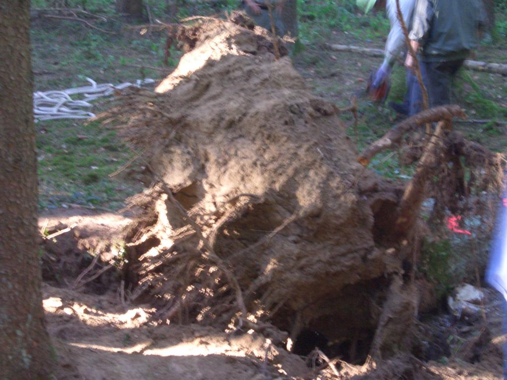 Bild vergr&ouml;ssern