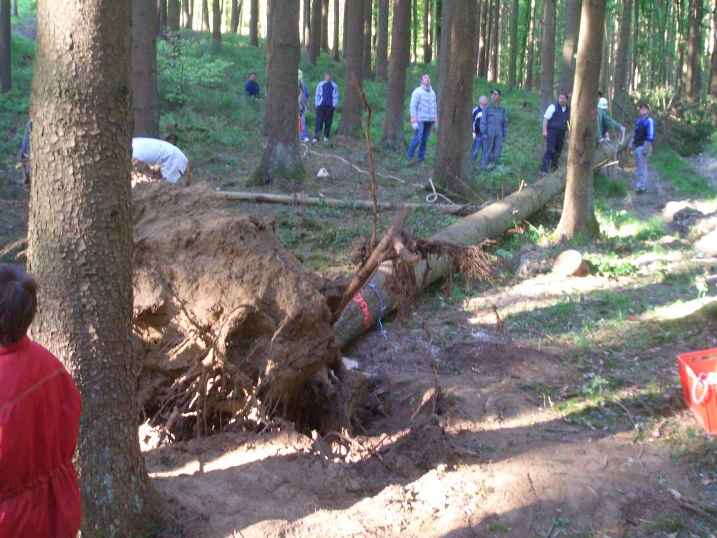 Bild vergr&ouml;ssern