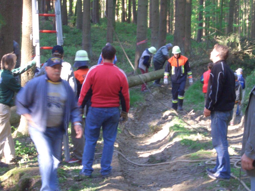 Bild vergr&ouml;ssern