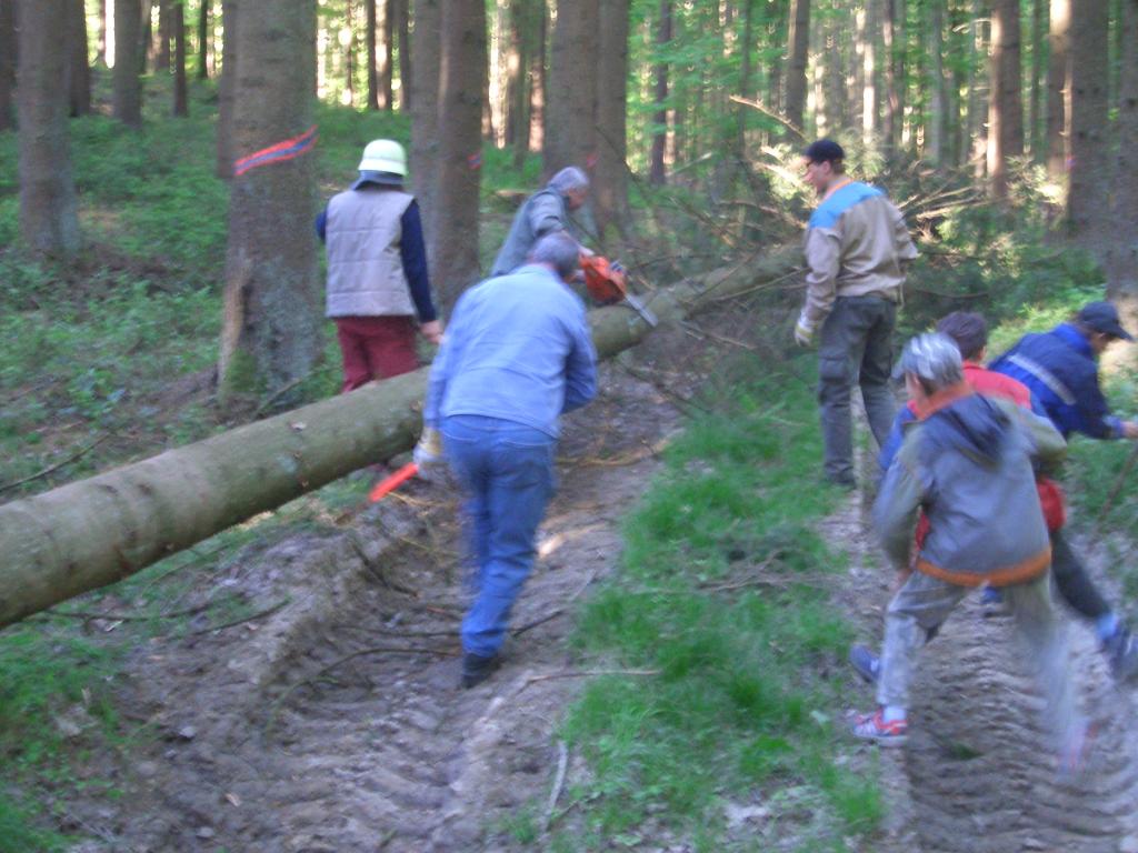 Bild vergr&ouml;ssern