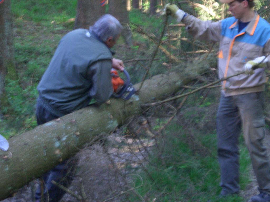 Bild vergr&ouml;ssern