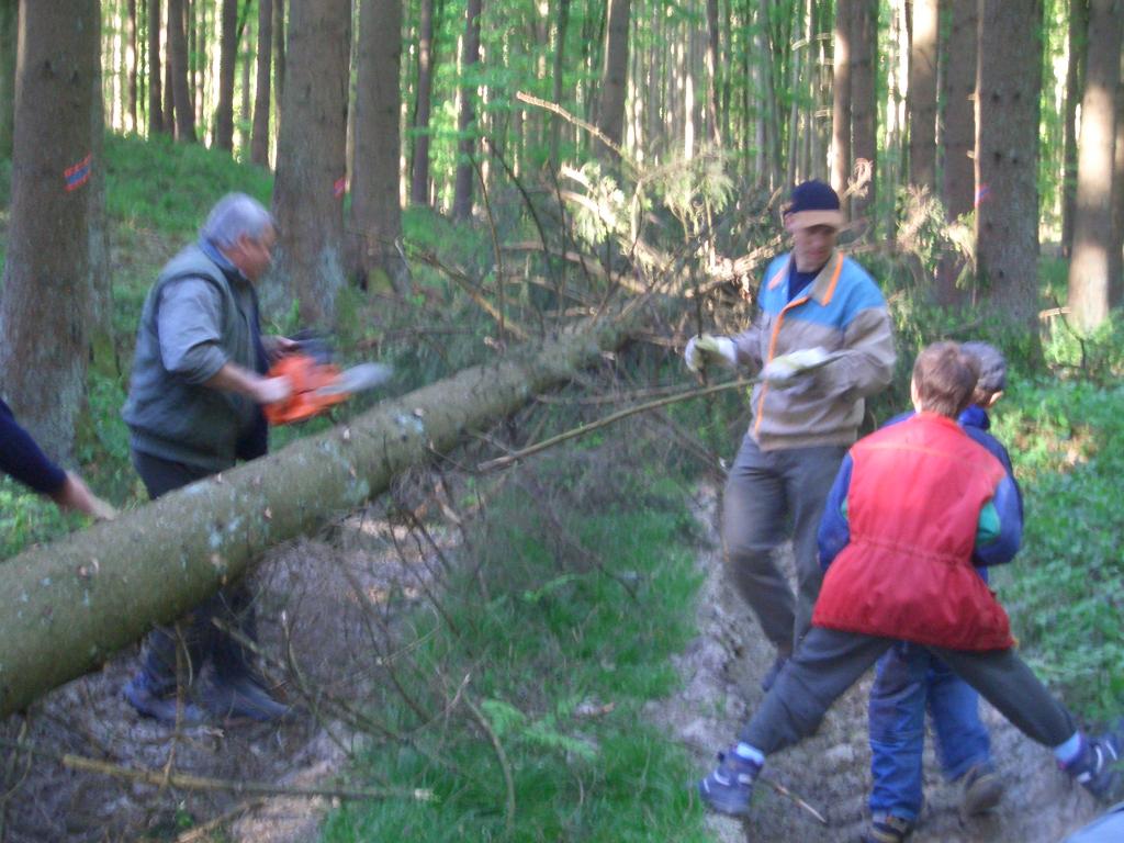 Bild vergr&ouml;ssern