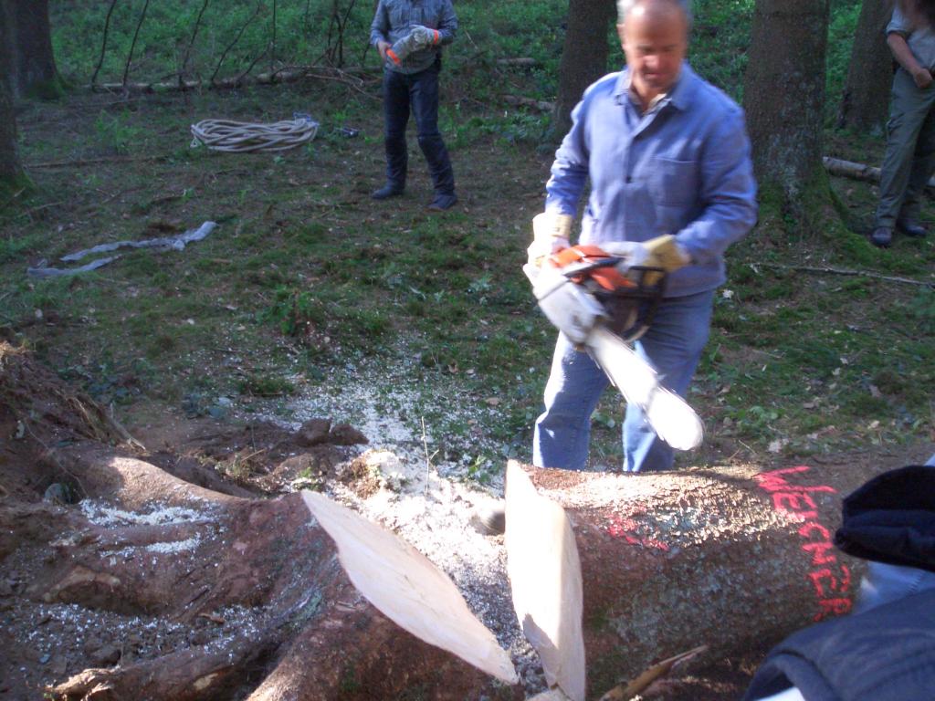 Bild vergr&ouml;ssern