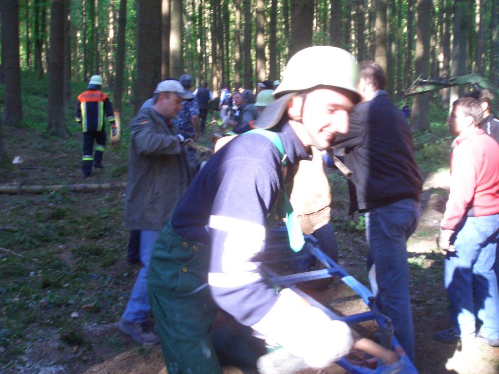 Bild vergr&ouml;ssern