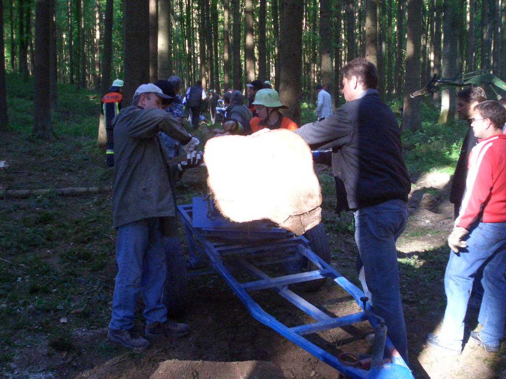 Bild vergr&ouml;ssern