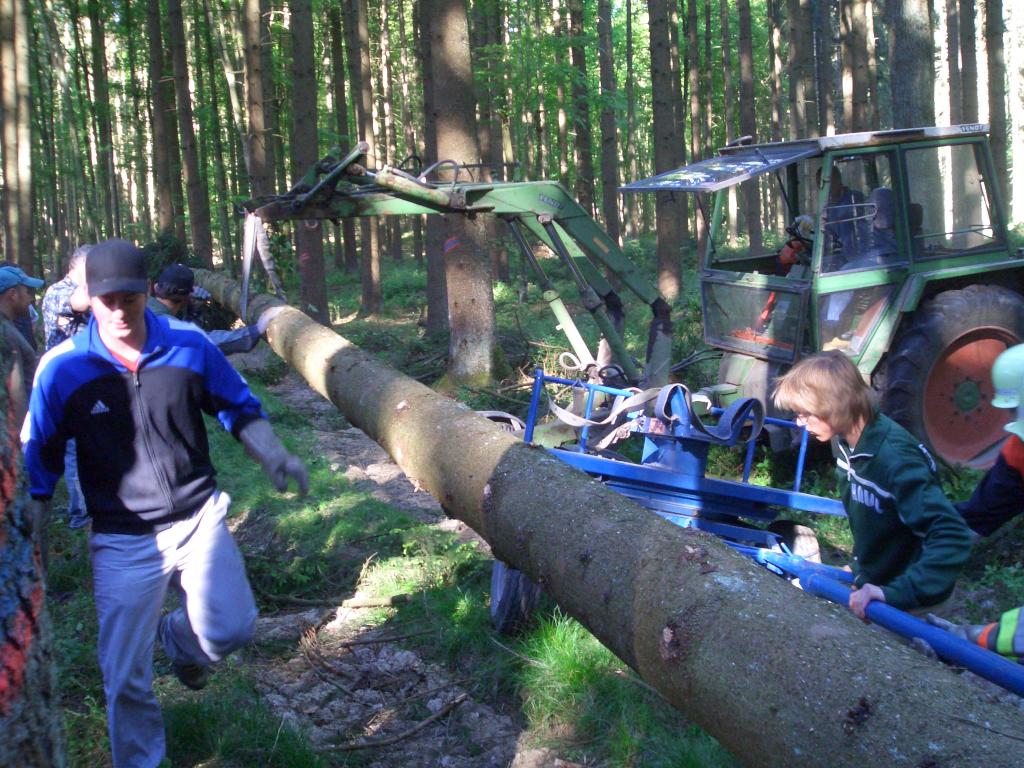 Bild vergr&ouml;ssern