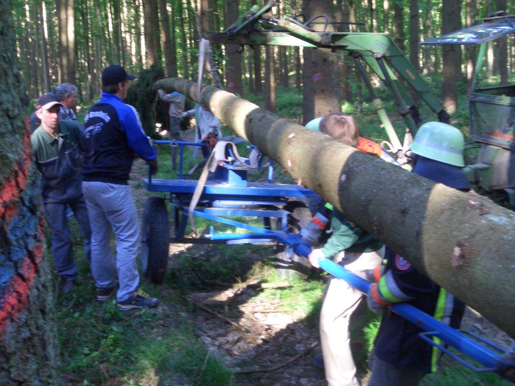 Bild vergr&ouml;ssern