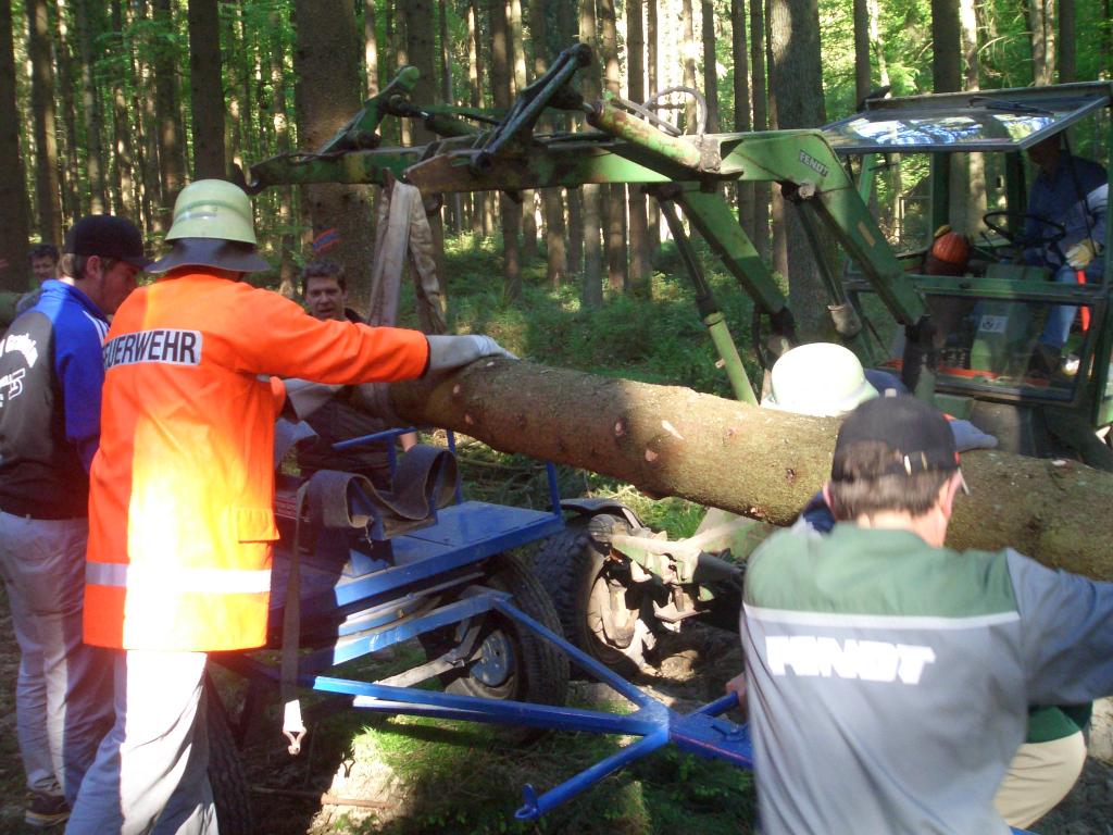 Bild vergr&ouml;ssern