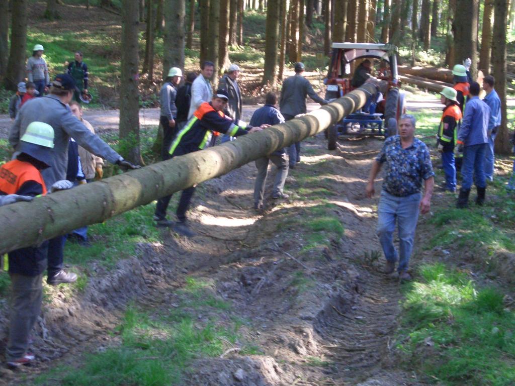 Bild vergr&ouml;ssern