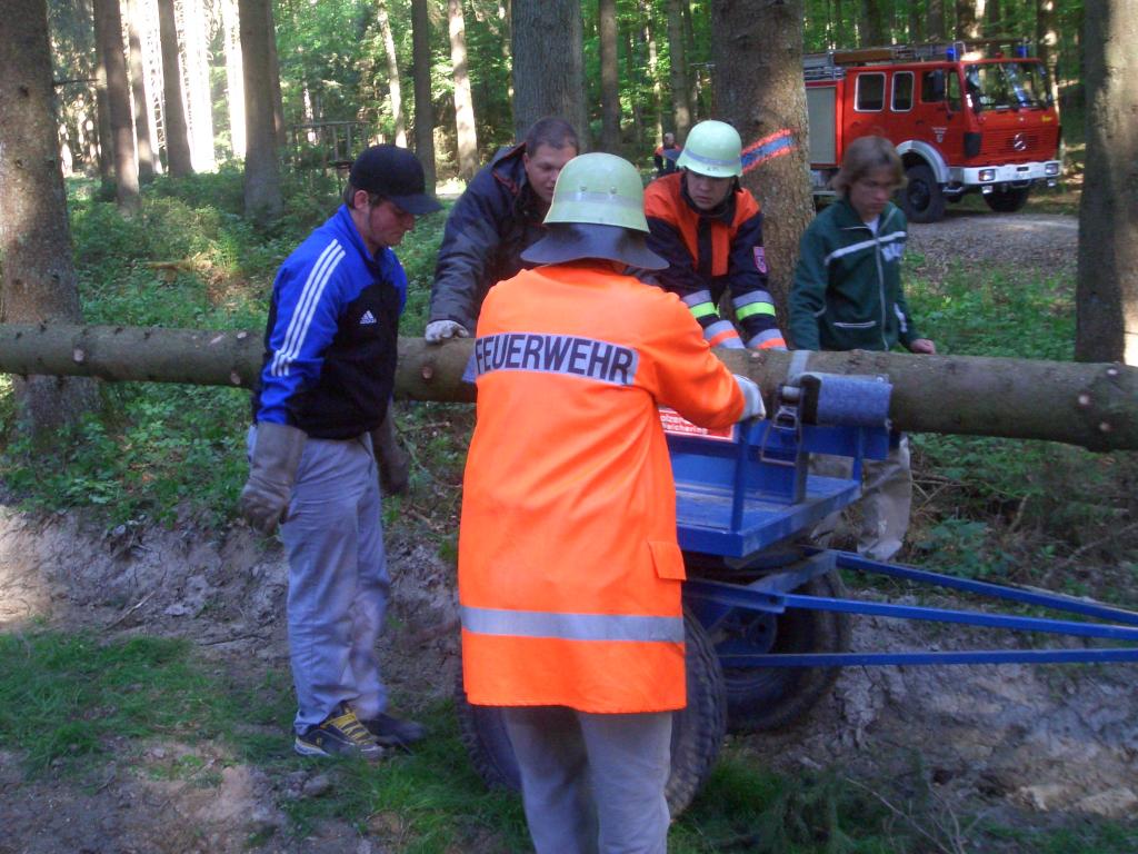 Bild vergr&ouml;ssern