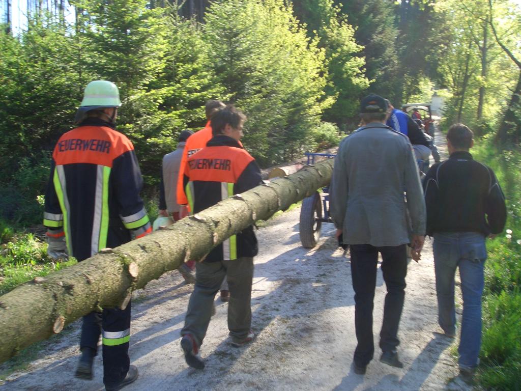 Bild vergr&ouml;ssern