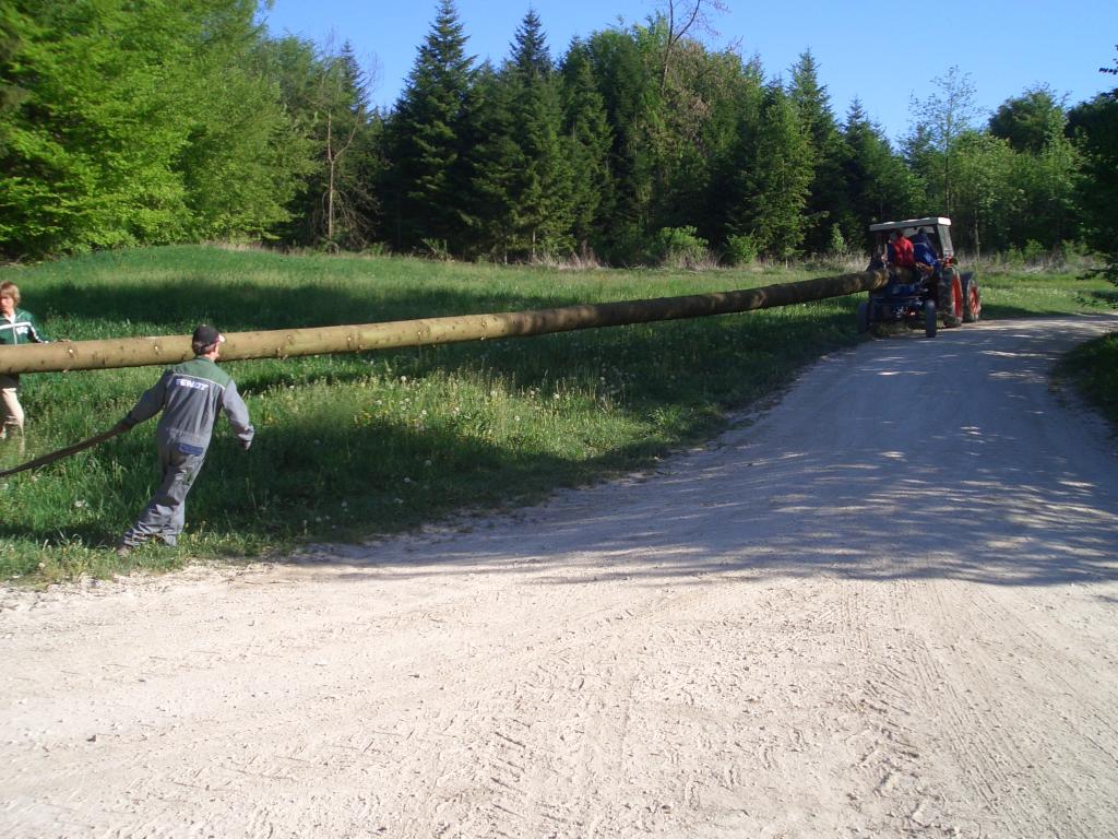 Bild vergr&ouml;ssern