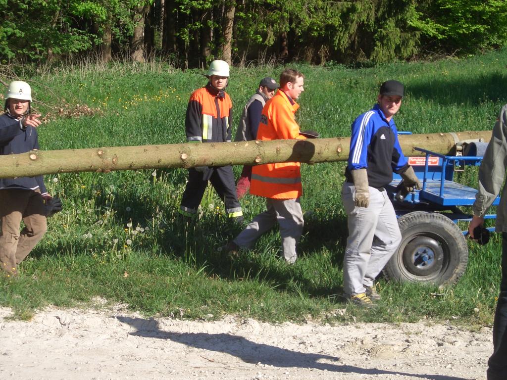 Bild vergr&ouml;ssern