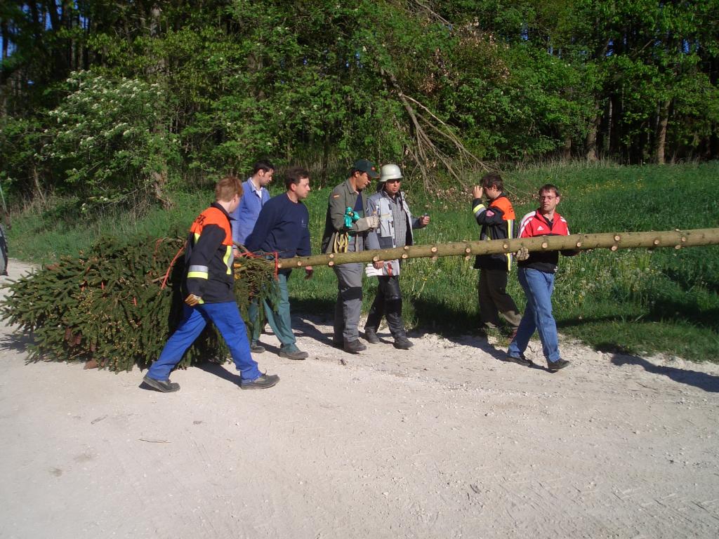 Bild vergr&ouml;ssern