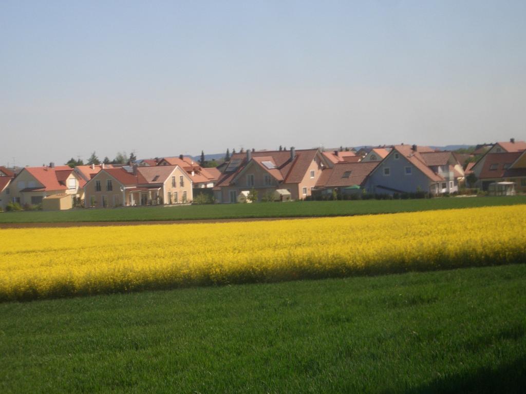 Bild vergr&ouml;ssern