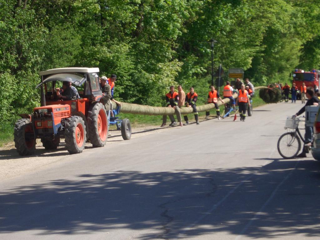 Bild vergr&ouml;ssern