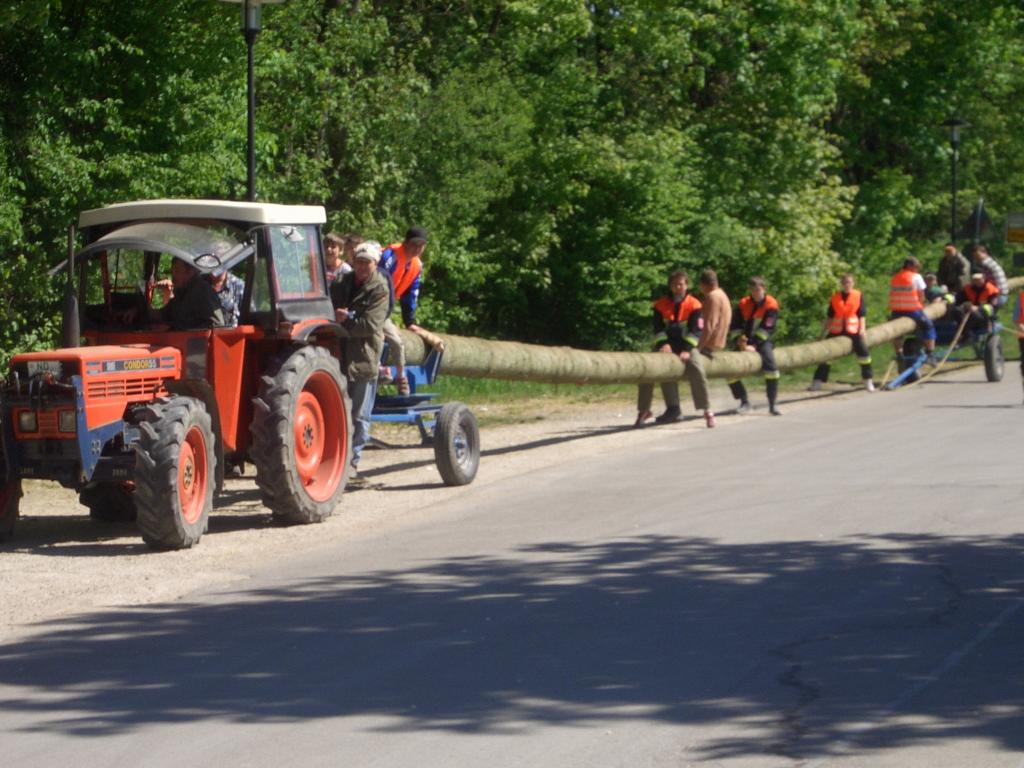 Bild vergr&ouml;ssern