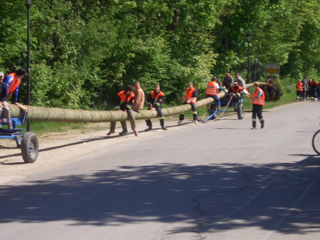 Bild vergr&ouml;ssern