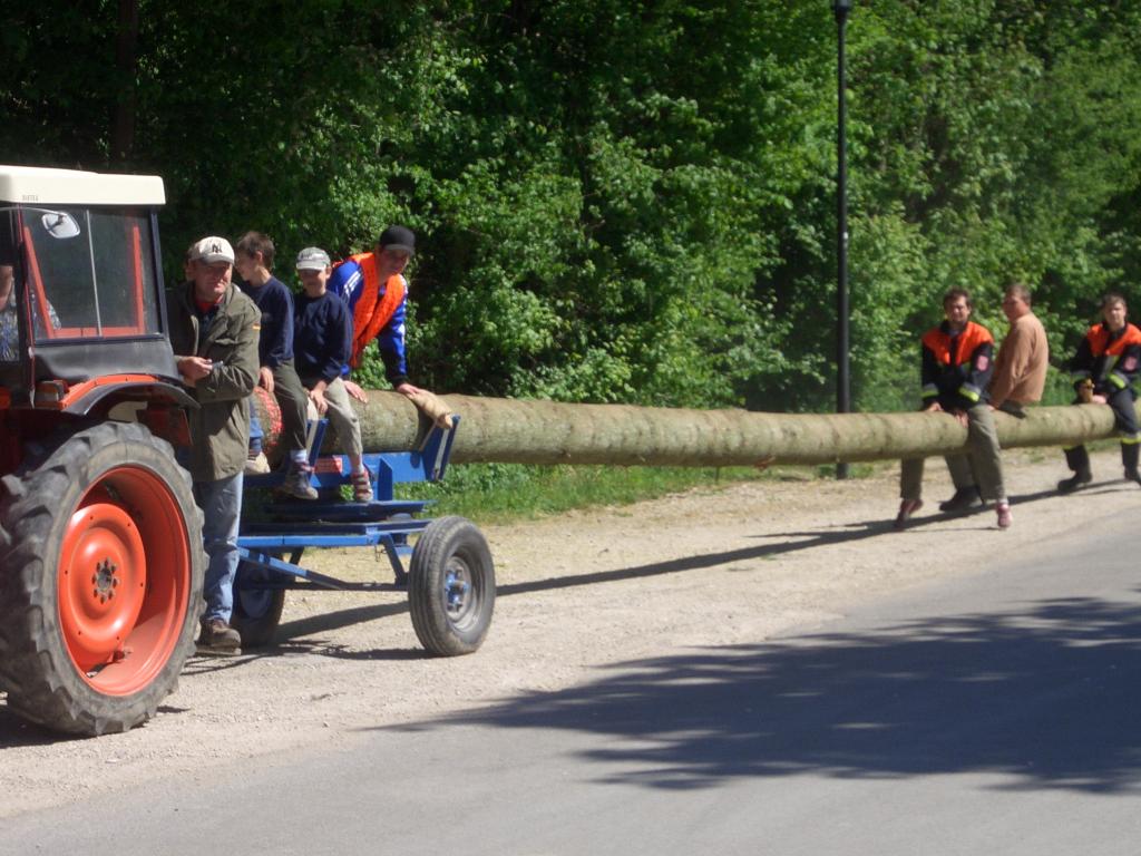 Bild vergr&ouml;ssern