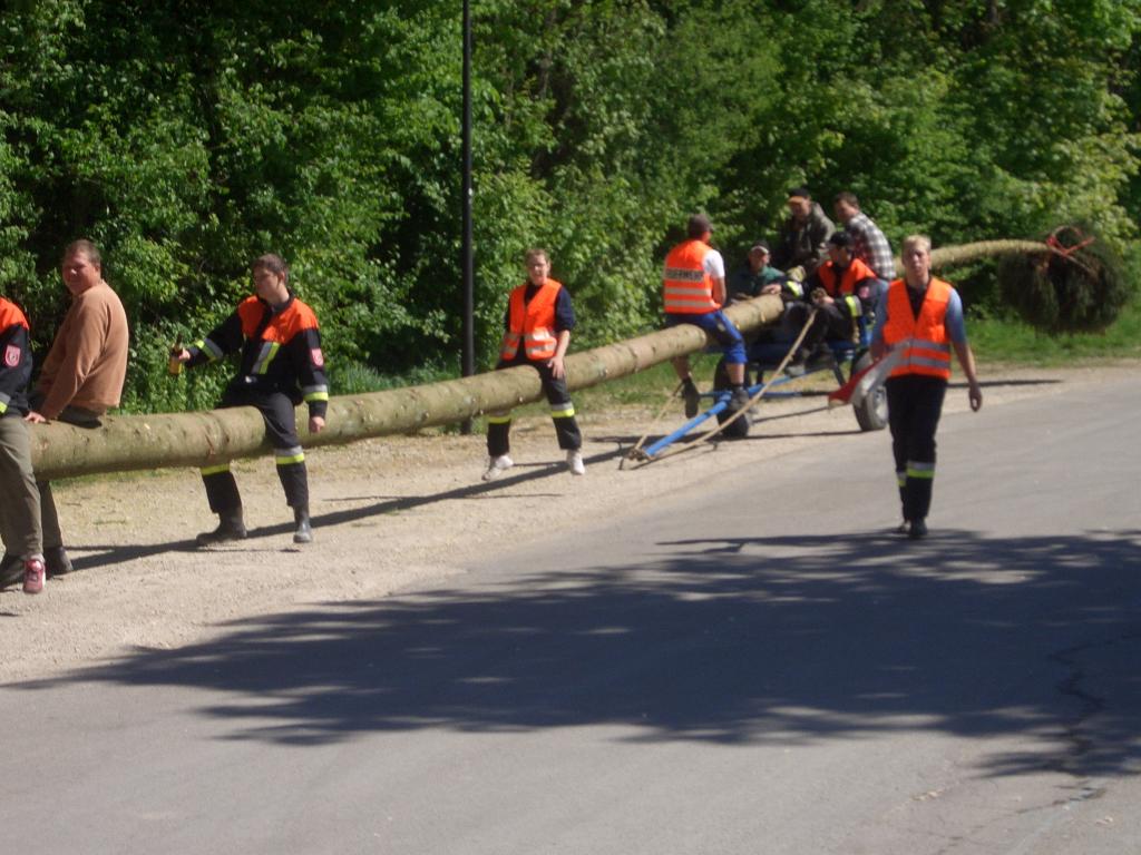 Bild vergr&ouml;ssern