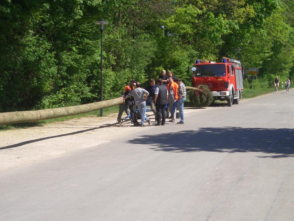 Bild vergr&ouml;ssern