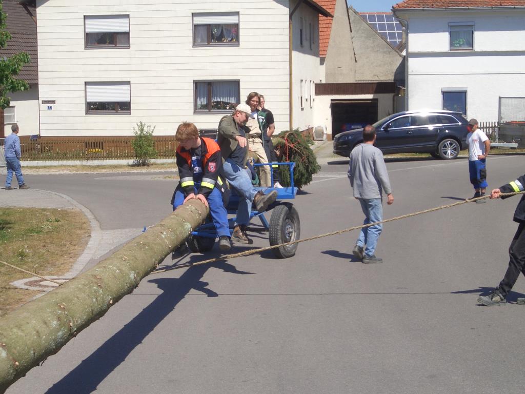 Bild vergr&ouml;ssern