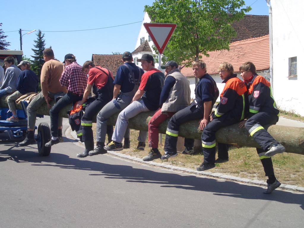 Bild vergr&ouml;ssern