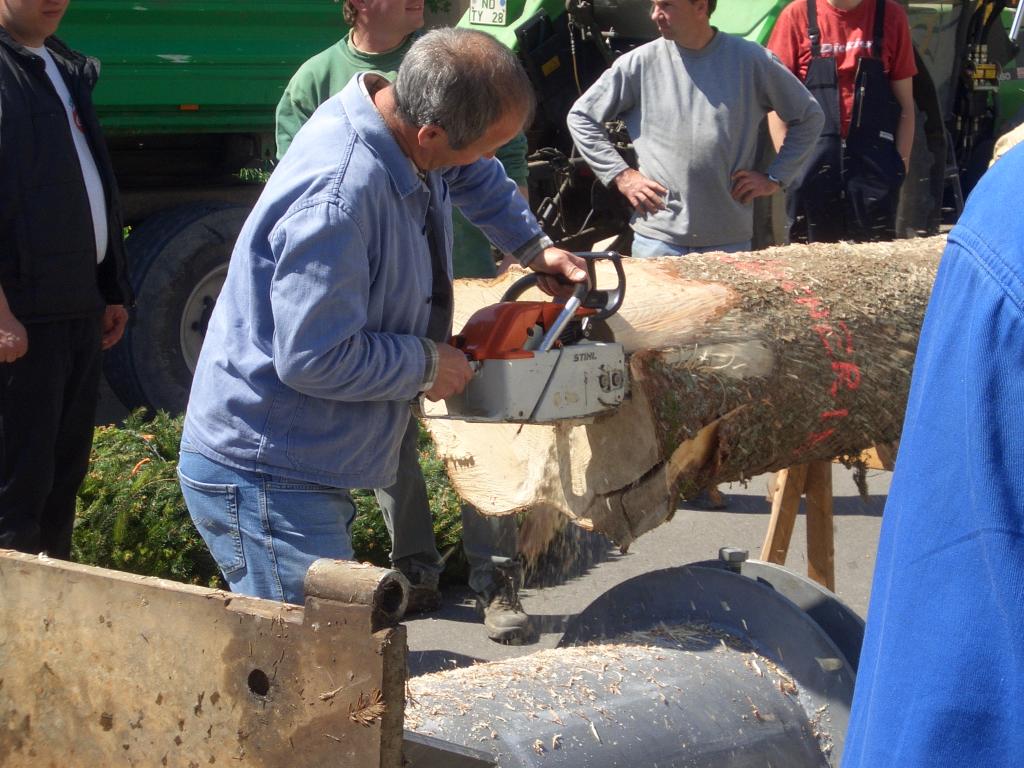 Bild vergr&ouml;ssern