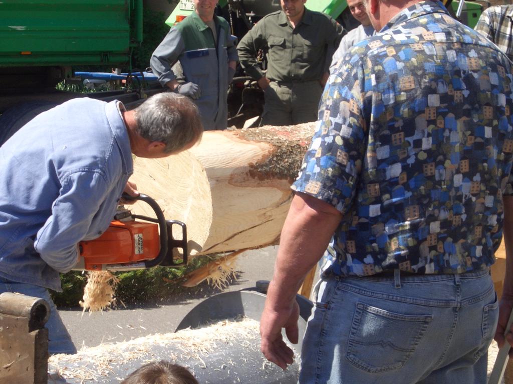 Bild vergr&ouml;ssern