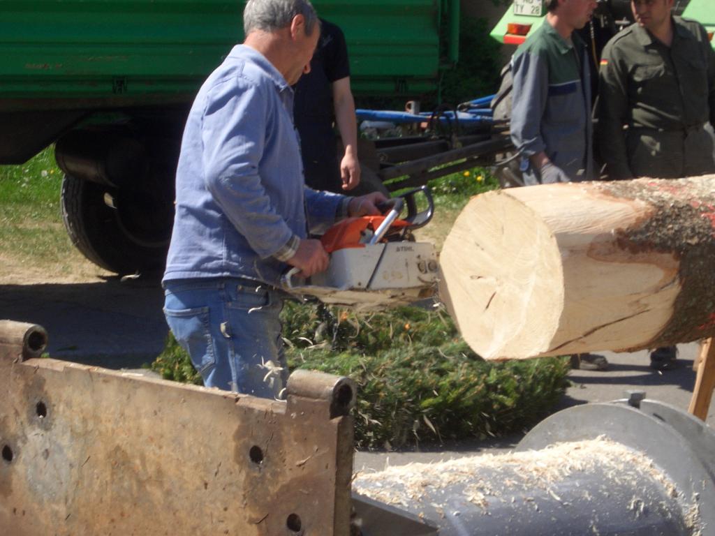 Bild vergr&ouml;ssern