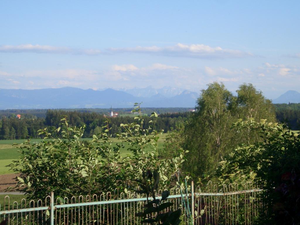 Bild vergr&ouml;ssern