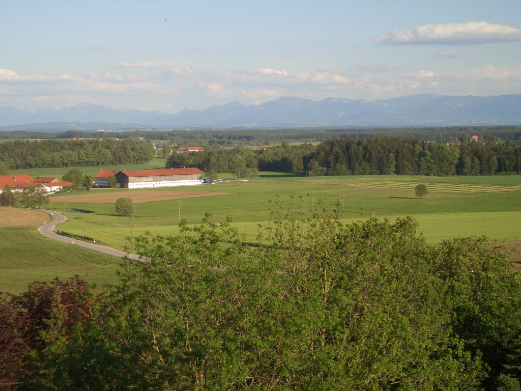 Bild vergr&ouml;ssern