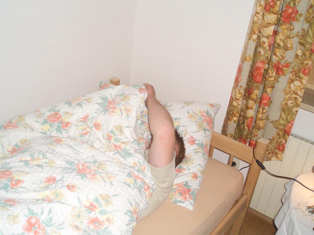 Bild vergr&ouml;ssern