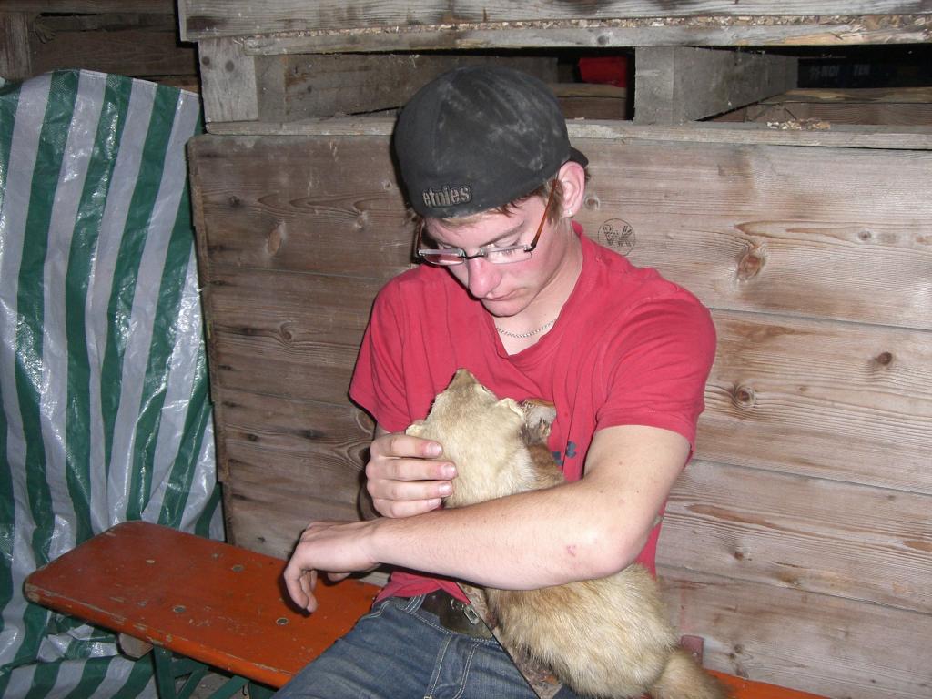 Bild vergr&ouml;ssern