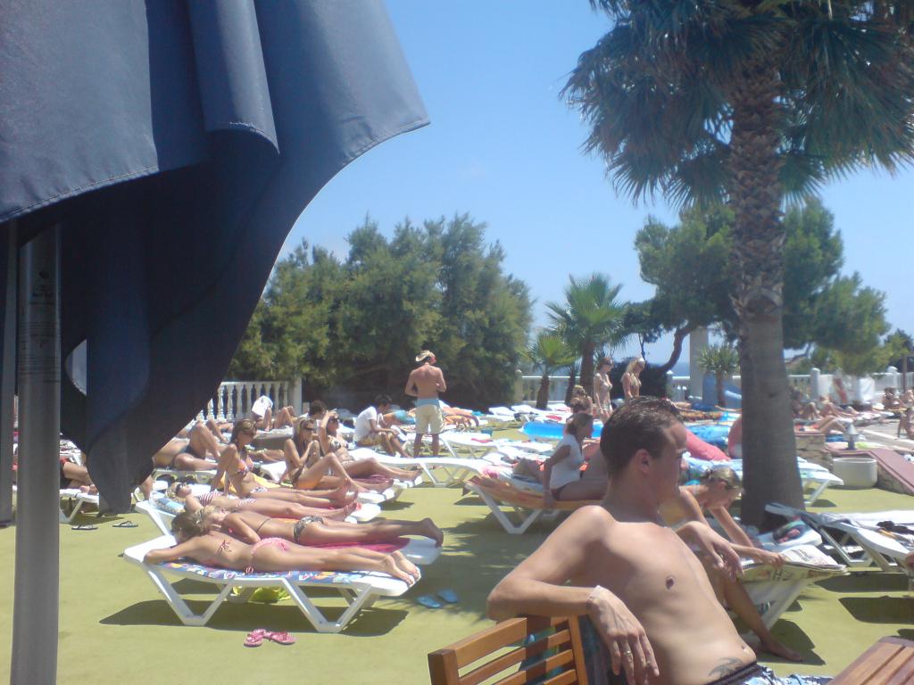 Bild vergr&ouml;ssern