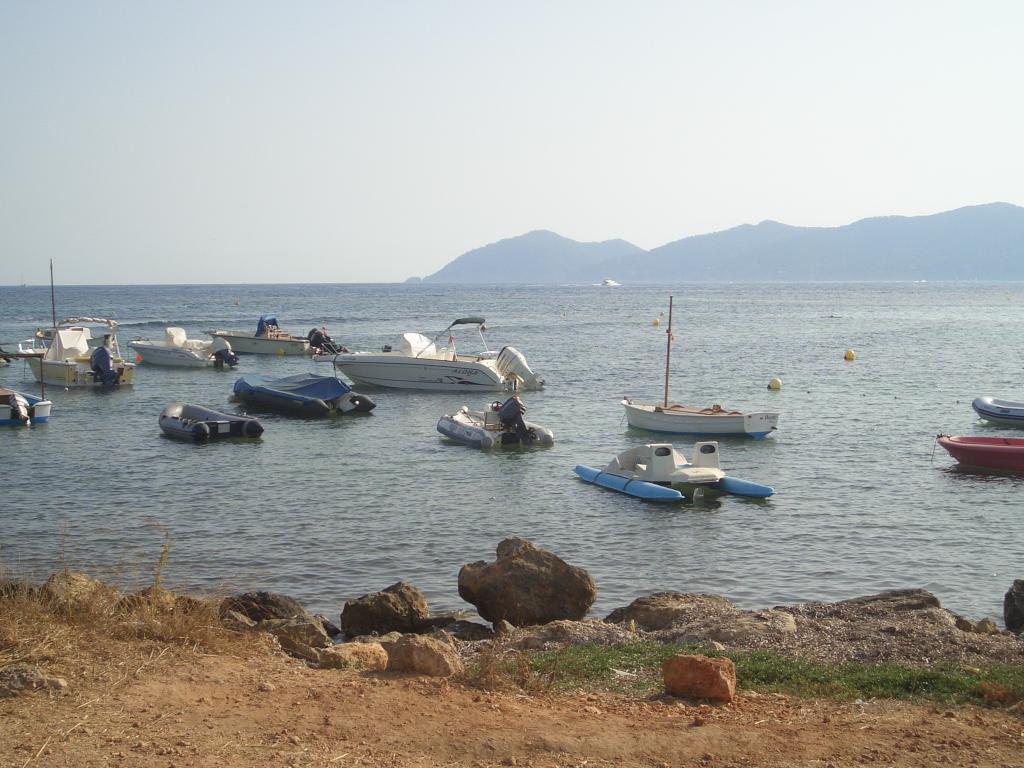 Bild vergr&ouml;ssern