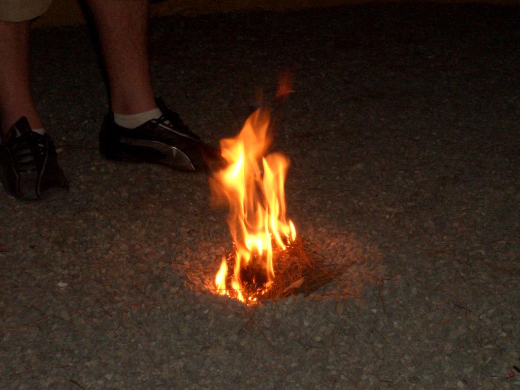 Bild vergr&ouml;ssern