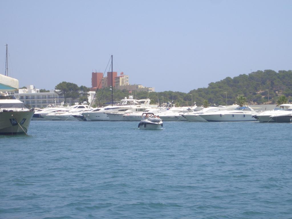 Bild vergr&ouml;ssern