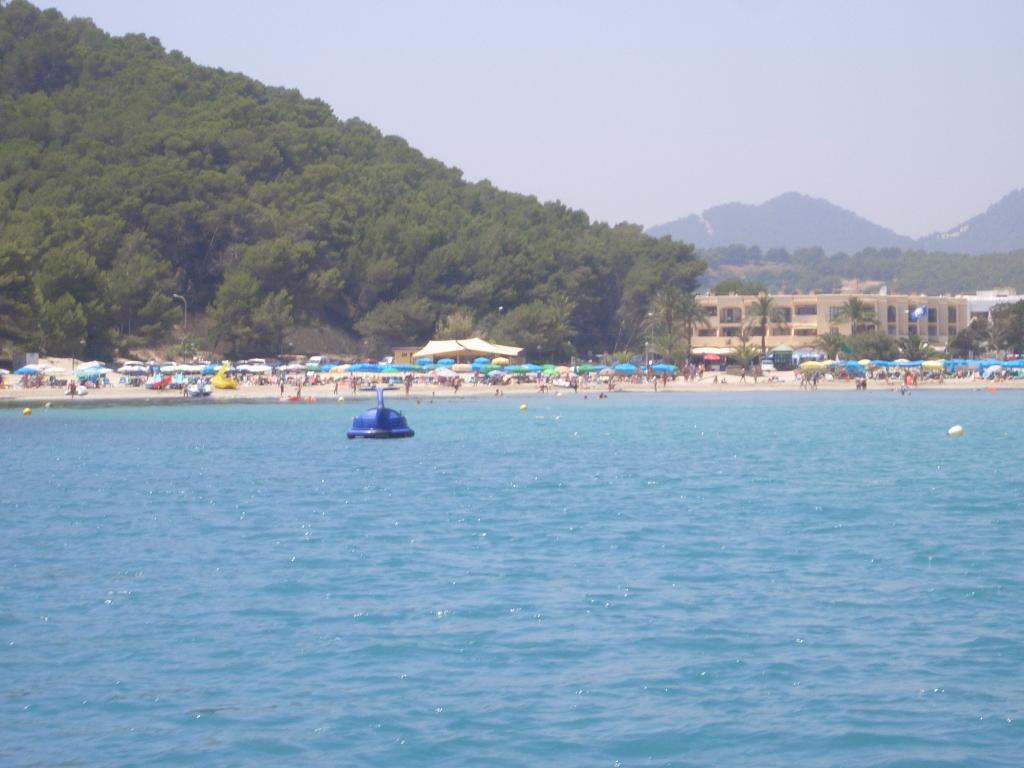 Bild vergr&ouml;ssern